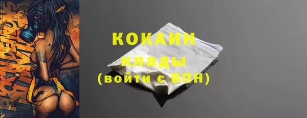 твердый Касимов