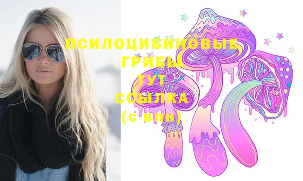 прущая мука Карпинск